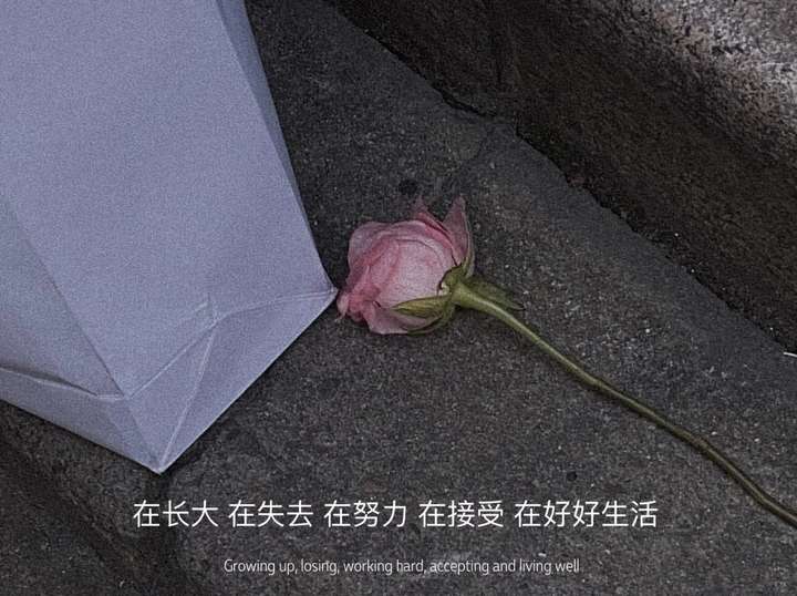 有哪些神仙句子让你记到现在的?插图17 有哪些神仙句子让你记到现在的?插图17