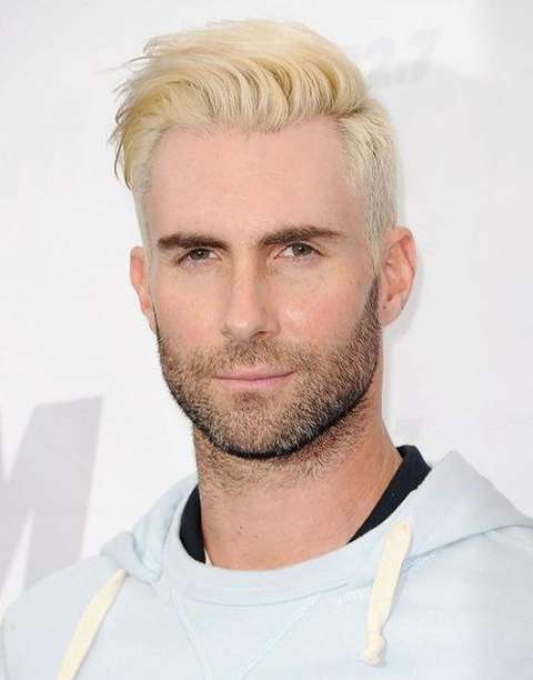 亚当莱文adamlevine