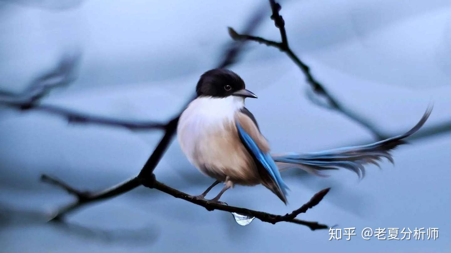 正直的人常常吃亏 逐渐被社会边缘化 你还会坚持自己的善良么 知乎