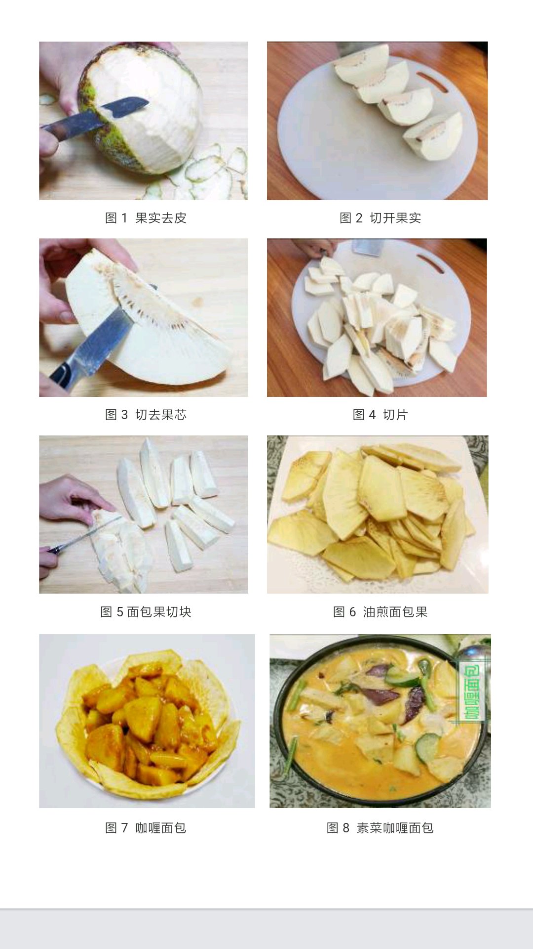 面包果食用方法 知乎