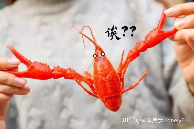 墙裂推荐(小龙虾价格大跌)小龙虾价格暴跌,(图7) 墙裂推荐(小龙虾价格大跌)小龙虾价格暴跌,(图7)