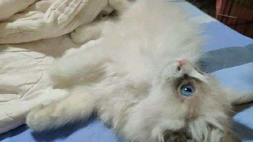 v2-d5e974c96f7697be5cc2b0a697a3c2a1_bh.jpg?source=1940ef5c