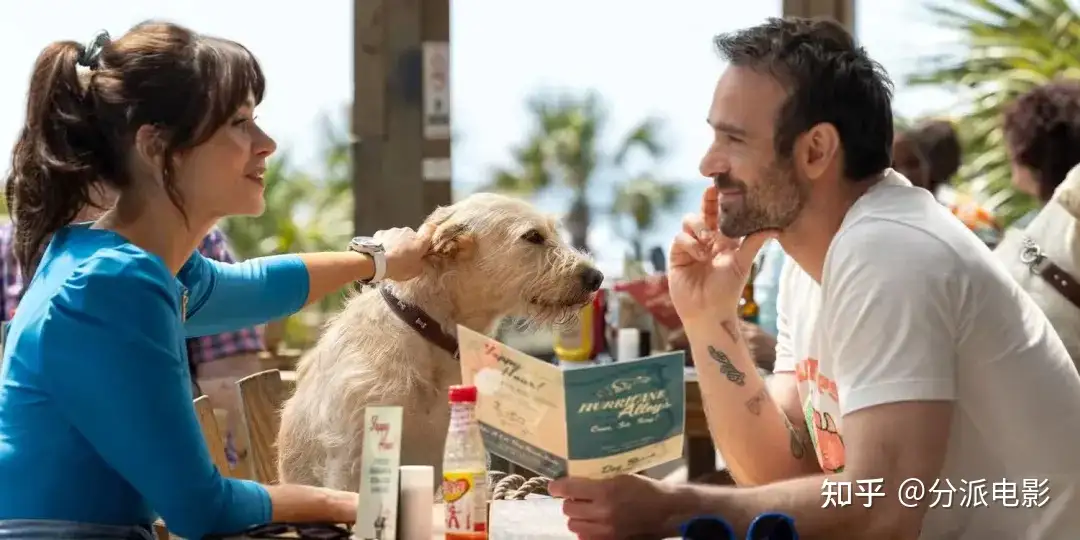 《爱犬莫福》“夜魔侠”变身暖男，携宠攻略前任