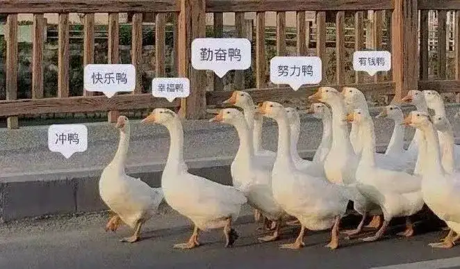 【免费福利】朗阁有好课 | 雅思考试特训营，助你轻松上分！