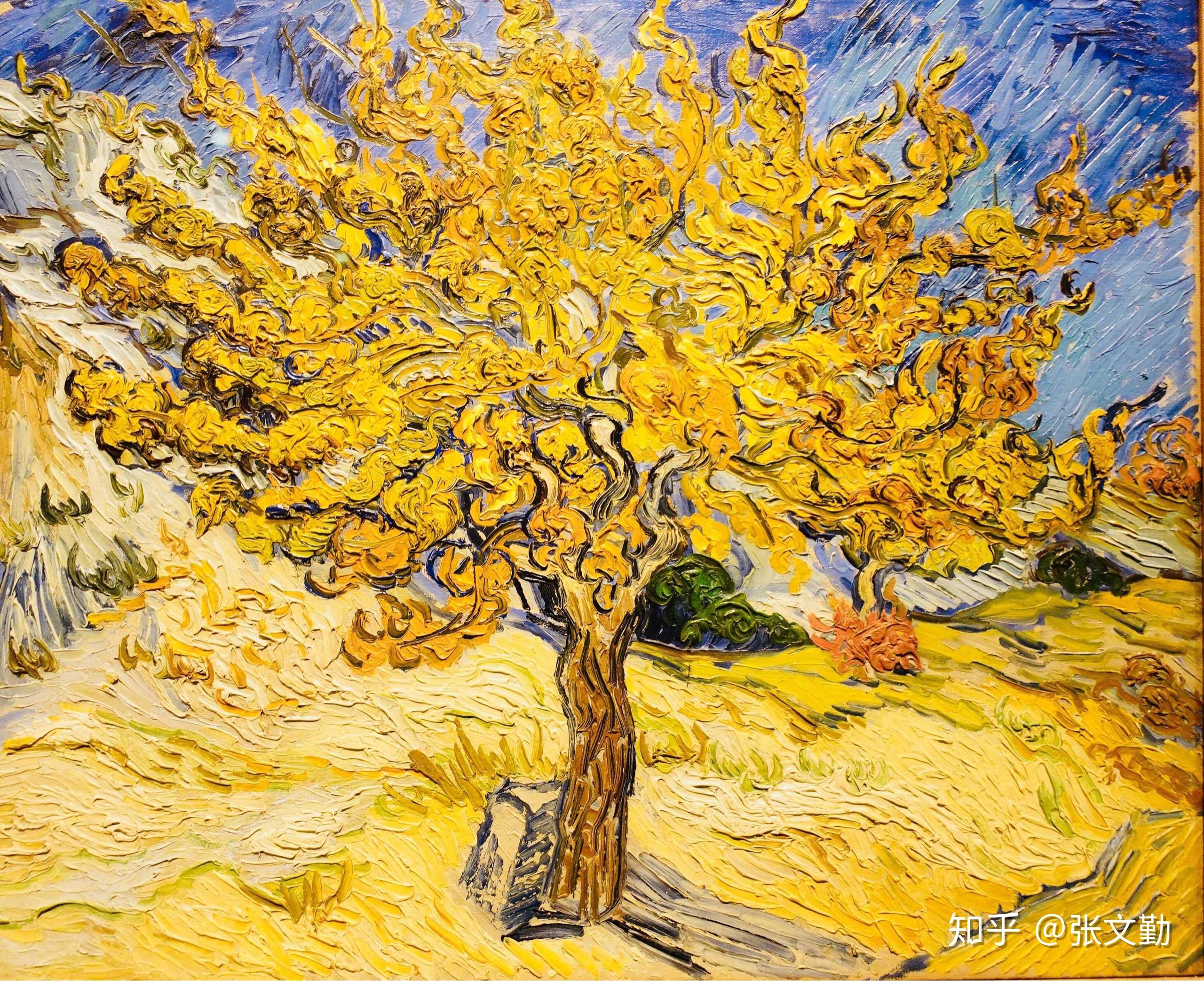 道哥聊教育 的想法: 梵高的色彩与笔触都是刻在运动 - 知乎