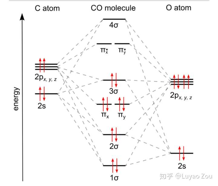 co有空轨道为什么是路易斯碱