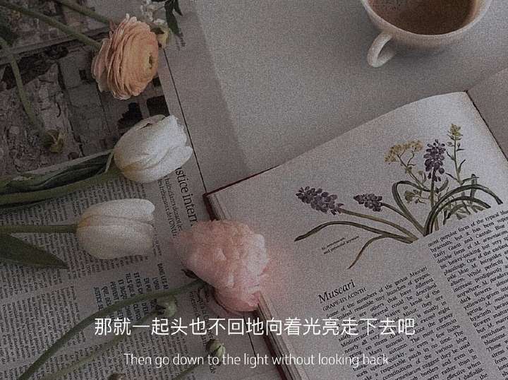 有哪些神仙句子让你记到现在的?插图9 有哪些神仙句子让你记到现在的?插图9