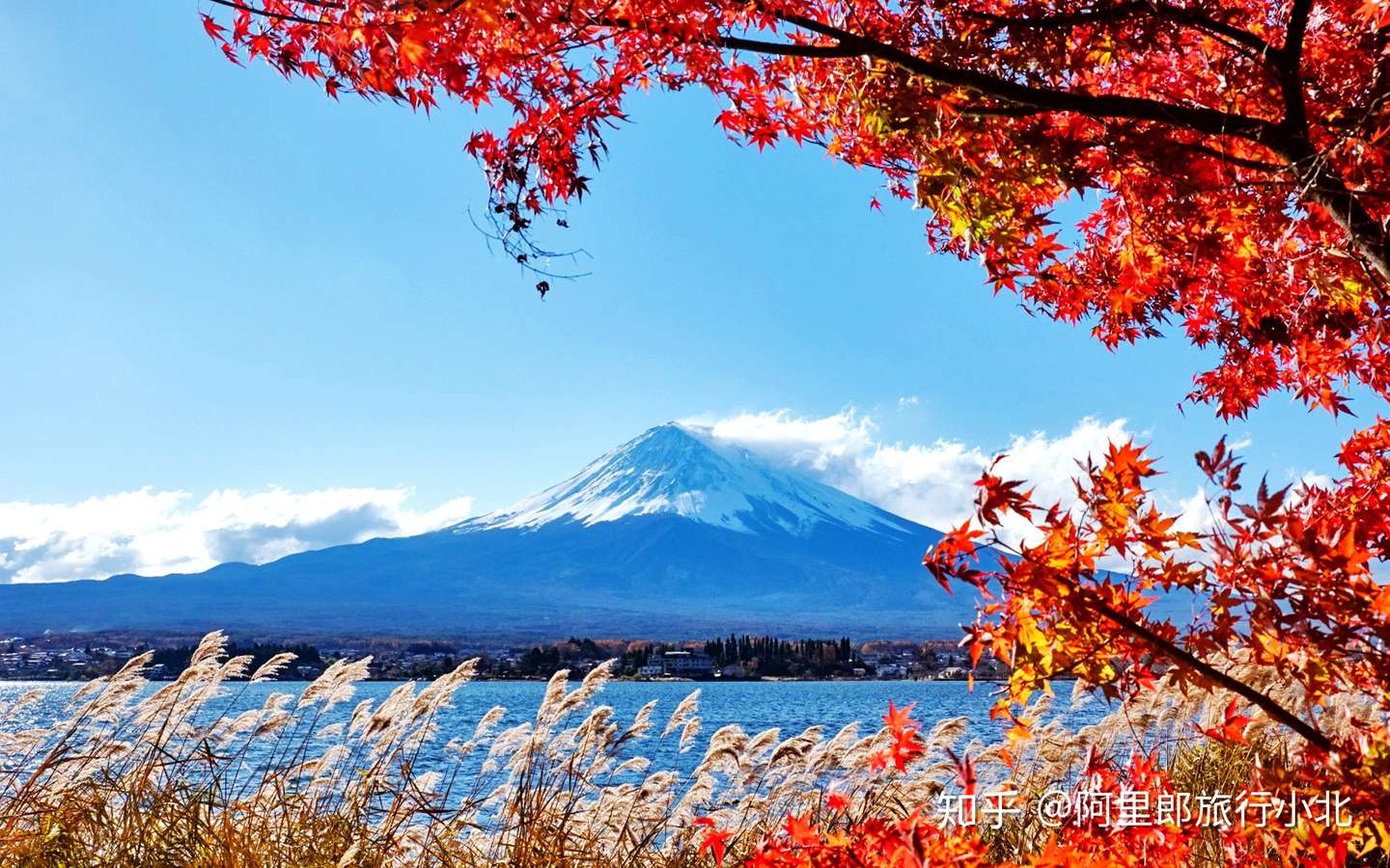 日本旅行攻略 瞭望富士山秋景 知乎