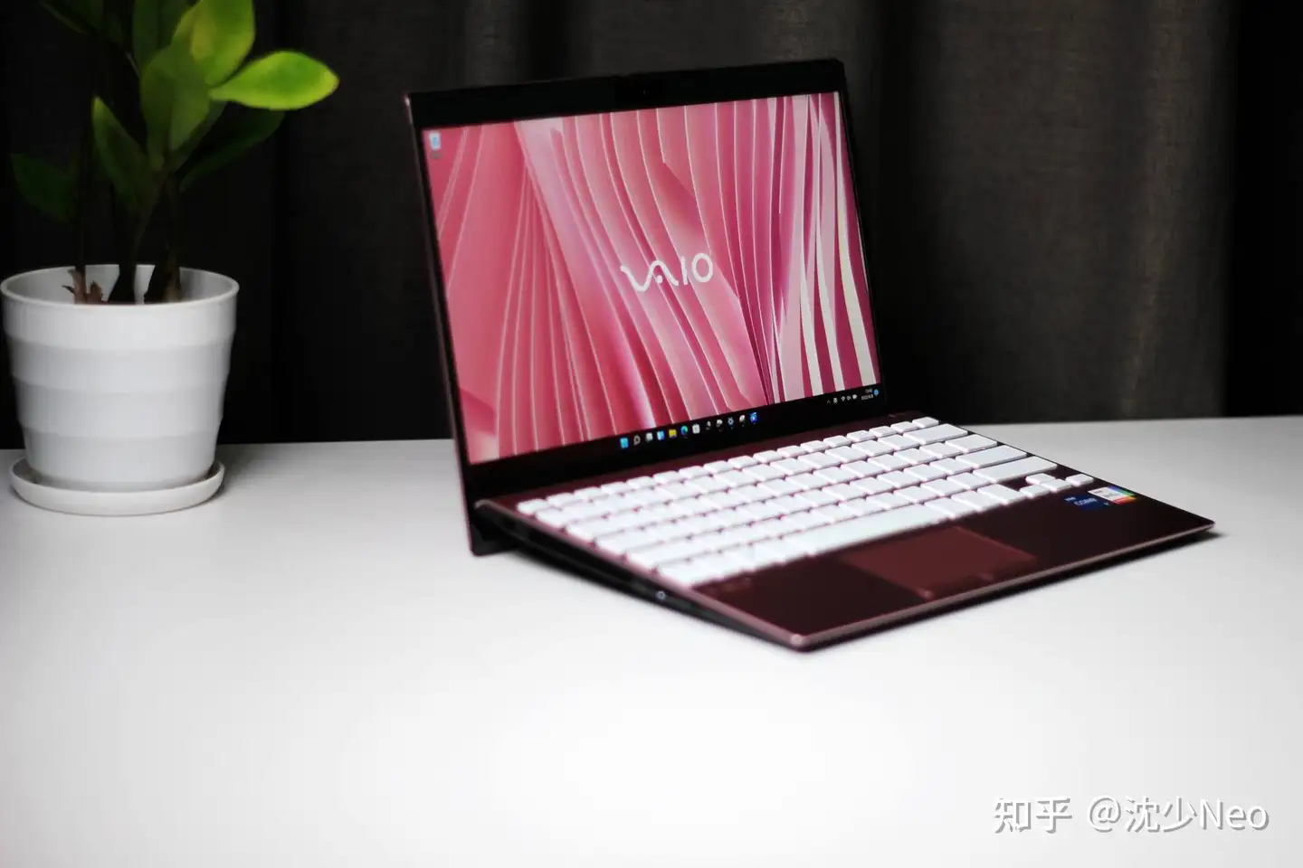 25周年，依然范特西- VAIO SX12 12代新品樱花粉使用评测- 知乎