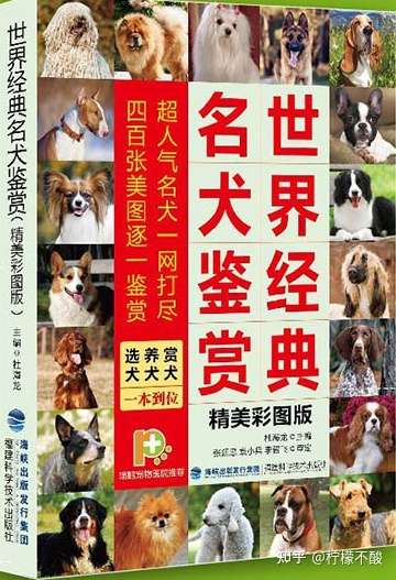 狗圈的这些事 你知道么 1 世界犬种分类 知乎