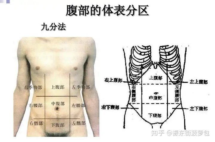 急腹症基本知识（内科急腹症）急腹症临床体现与处理惩罚处罚处罚处罚处罚处罚处罚处罚处罚处罚处罚处罚处罚处罚处罚处罚处罚处罚处罚处罚处罚处罚处罚处罚处罚处罚处罚处罚处罚处罚处罚处罚处罚处罚处罚处罚处罚处罚