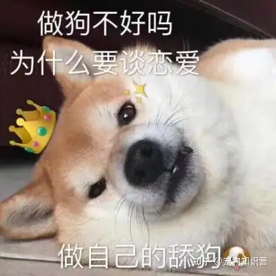 知乎