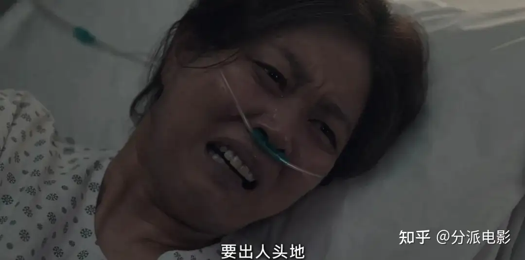 《公益律师》网飞最新喜剧！年底压轴之作！