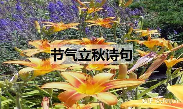 学会了吗（情感文章）情感类的作文八百字 第3张