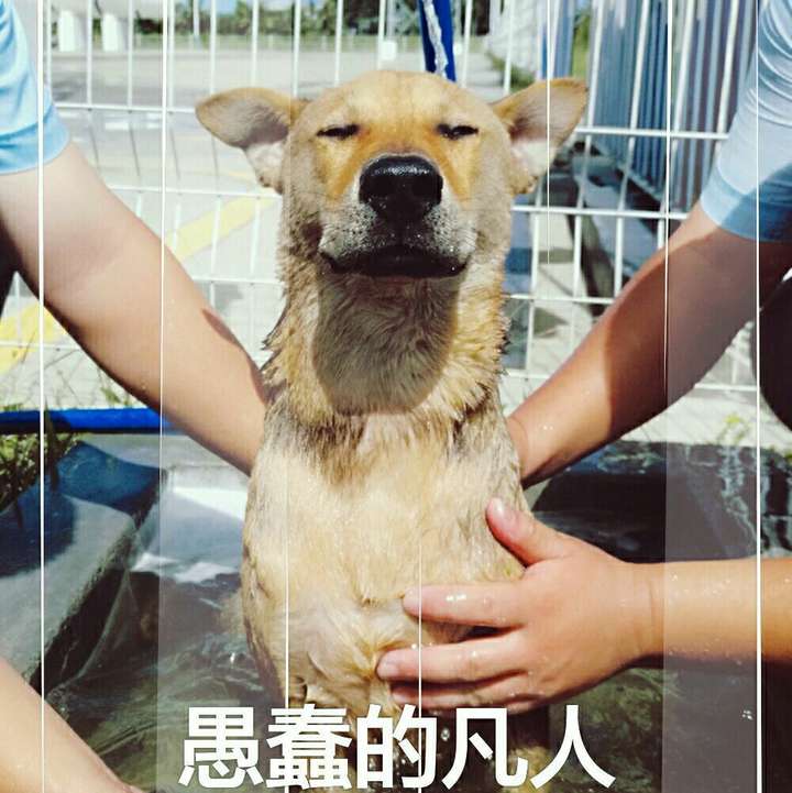 而华为手机有了问题就沸沸扬扬的,还出现了一个77人维权团?