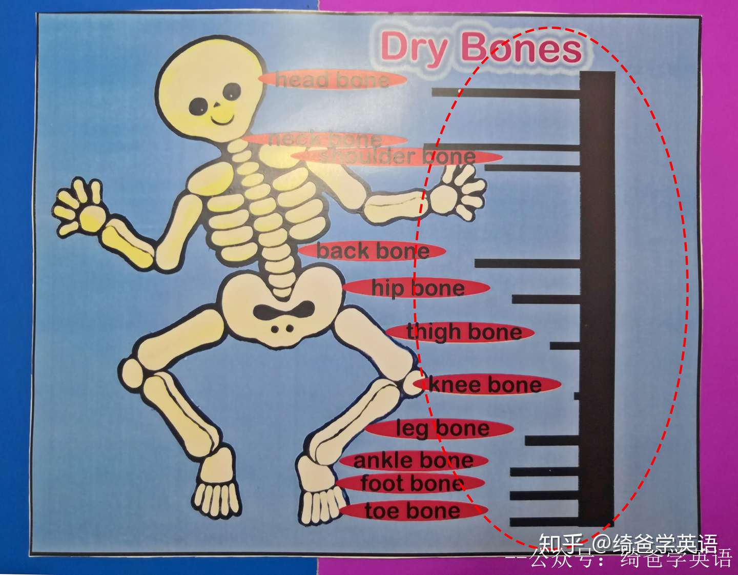 快乐英语启蒙 绘本精读 手工游戏 Dry Bones 知乎