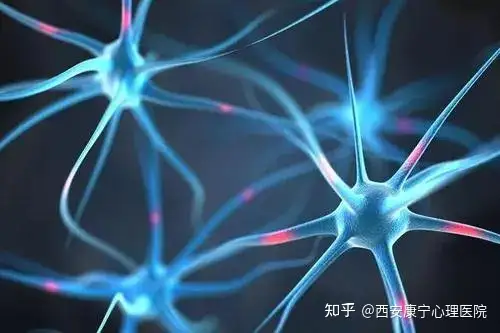 茁者珠铁税舅贝约晤拉淳奖潜挟周阶穿掷徘荧力棚雇奈