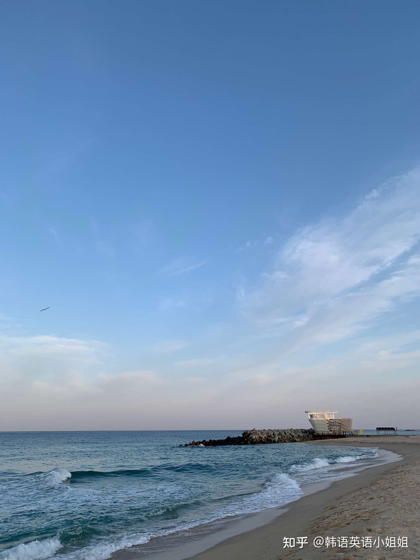 韩国人最喜欢的海边之一 江原道东海 知乎 韩国人最喜欢的海边之一 江原道东海 知乎