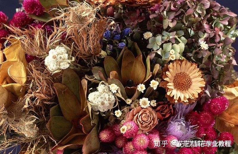 哪些植物适合制作成干花 有哪些制作干花的办法 知乎