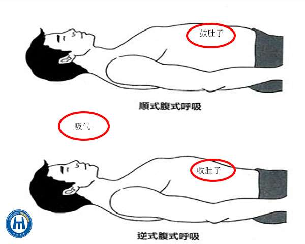 胸式呼吸 腹式呼吸的孰是孰非 下 一步一步学呼吸 6 知乎