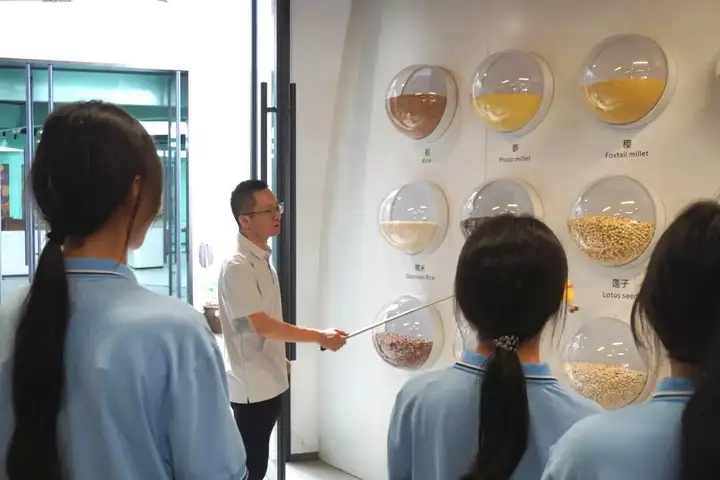 运河糕版映匠心 文脉传承青年行 | 塘栖校区大运河糕版博物馆参观活动(图5)