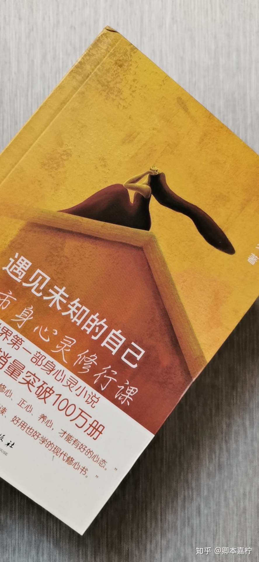 卿本嘉檸 的想法: 一本一本來還債之《好文案,一句話就夠了… - 知乎