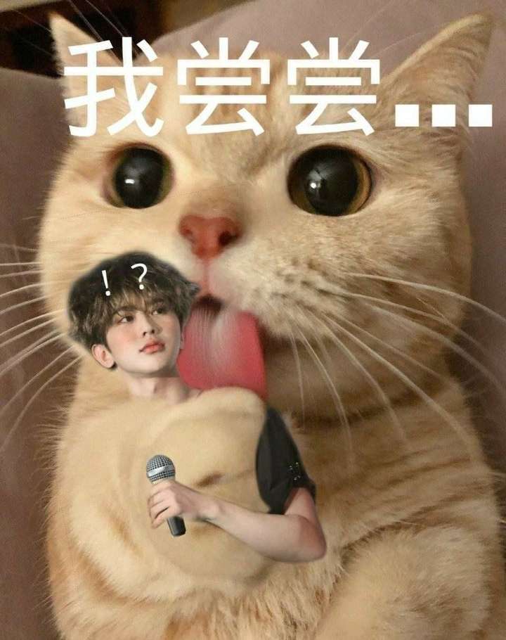 蔡徐坤谢可寅是不是在一起了