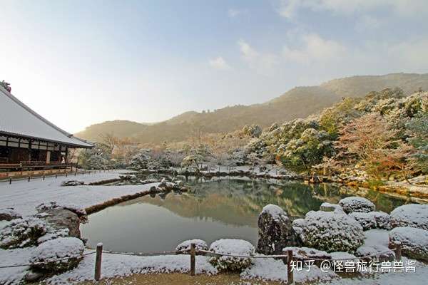 岚山小火车一票难求 这份购票指南你一定不能错过 知乎