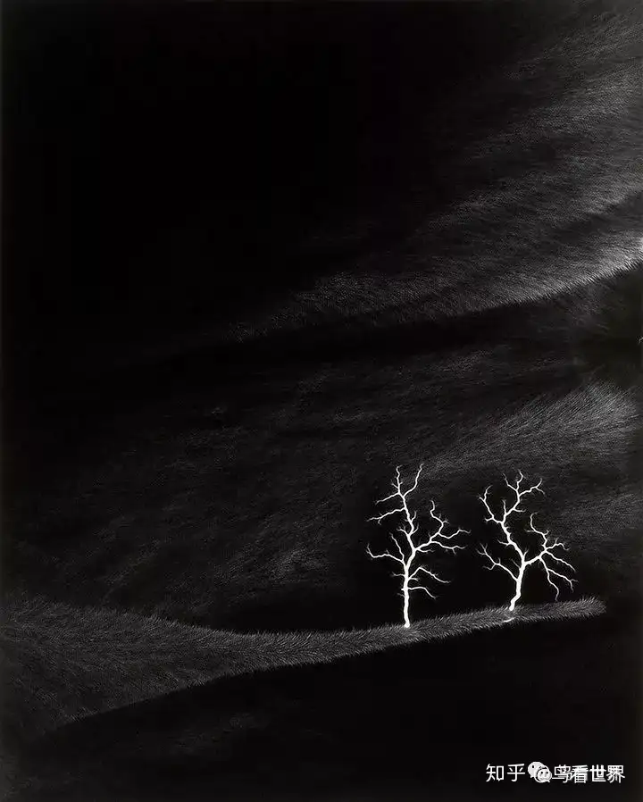 推荐∣黑白摄艺术影大师——杉本博司的黑白世界作品欣赏- 知乎