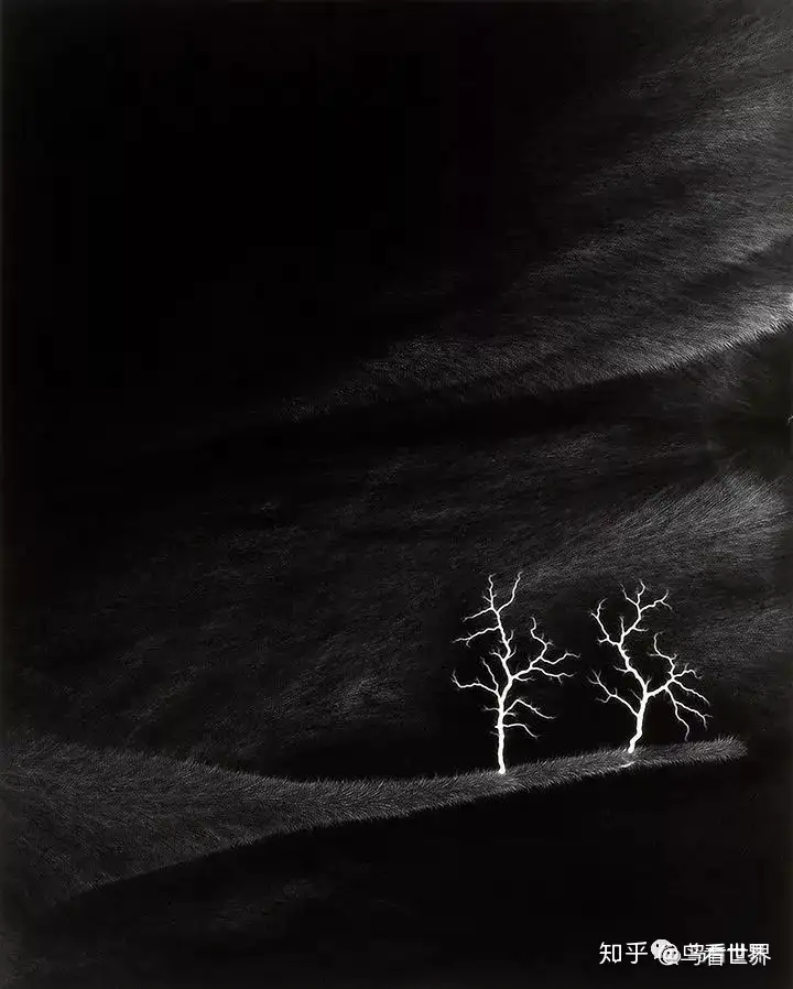 HIROSHI SUGIMOTO 作品集杉本博司-