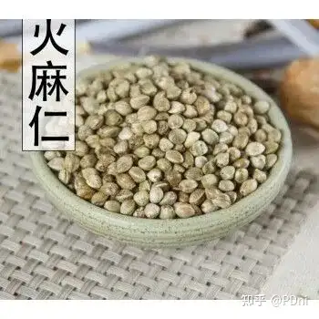 火麻仁的主要作用