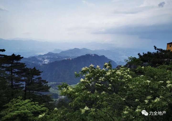 力全团建|千年禅文化，万绿西九华(图6)