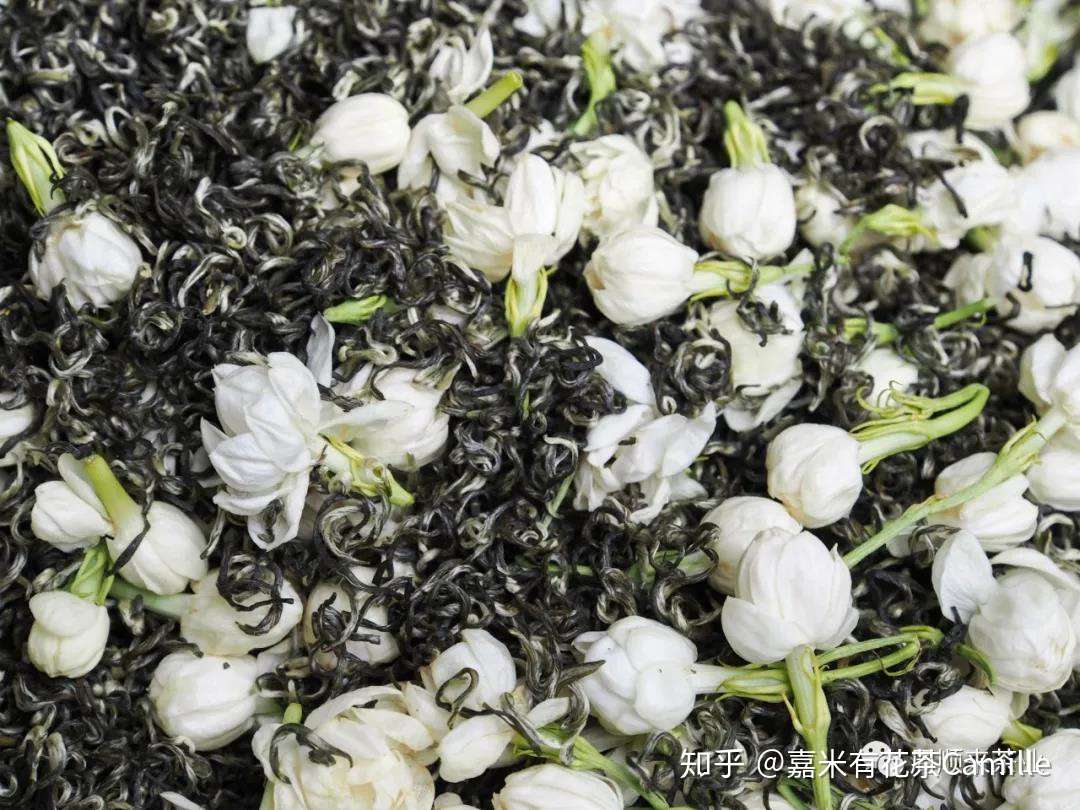 咦 茉莉花茶没有花 到底你有花还是没花 来揭秘谁才是正宗的花茶 知乎