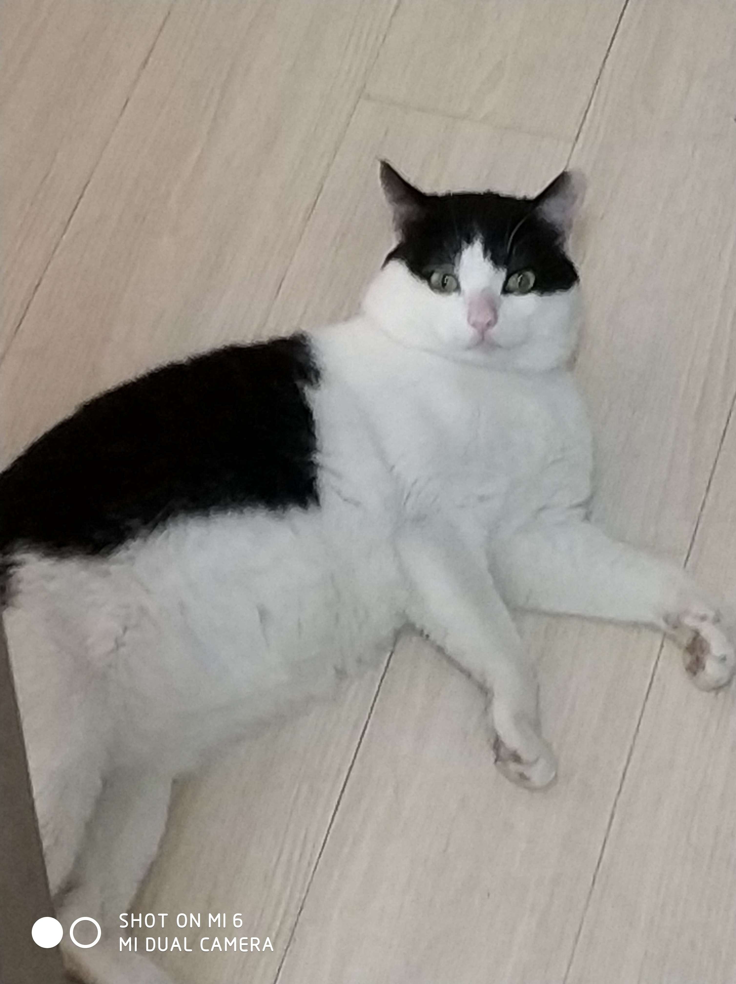 半佛仙人 - 知乎