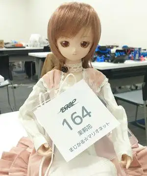 岛国机器人格斗大赛两兄弟称霸