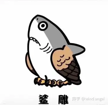 鲨瓜头像喜欢拿走记得留言
