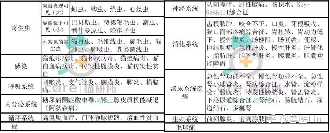 猫咪食欲不振的非疾病因素有哪些 知乎