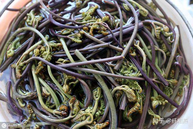 纤相燕 蕨菜炒腊肉 换成 口蘑炒蕨菜 既美味又可预防癌症 知乎