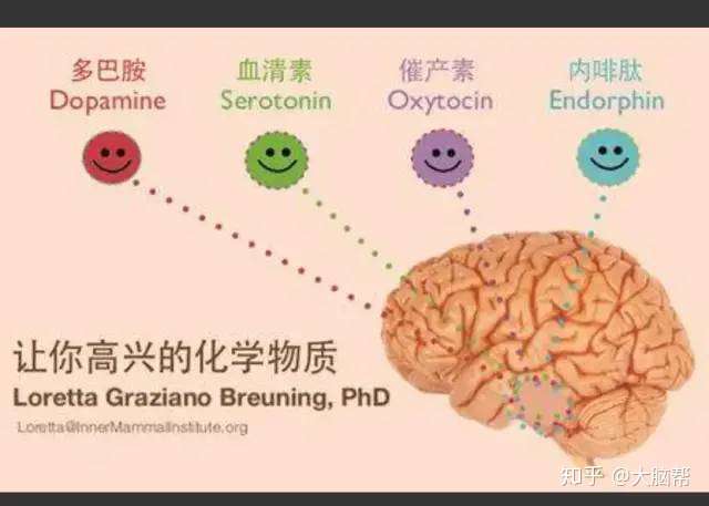 多巴胺血清素催產素內啡肽你不可不知道的幸福密碼激素