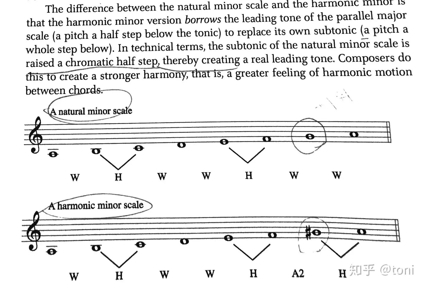 Major Scale And Minor Scale 音乐 大调音阶和小调音阶 知乎