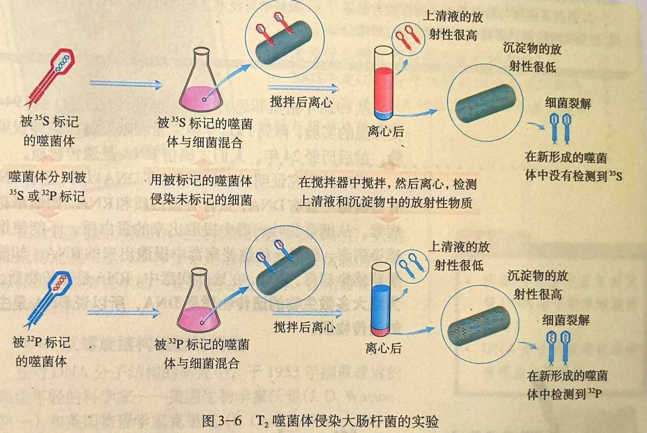 知乎专栏