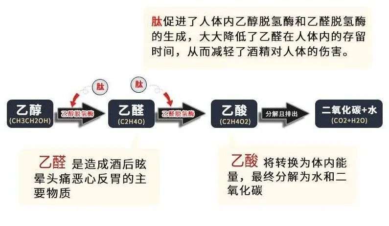 日本人酒量差 醉倒睡大街 这是因为有 基因缺陷 知乎