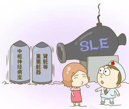 系统性红斑狼疮可以怀孕吗?插图(5) v2-deb75c8adb59b076152e838fdaa3b646_720w.png插图(5)