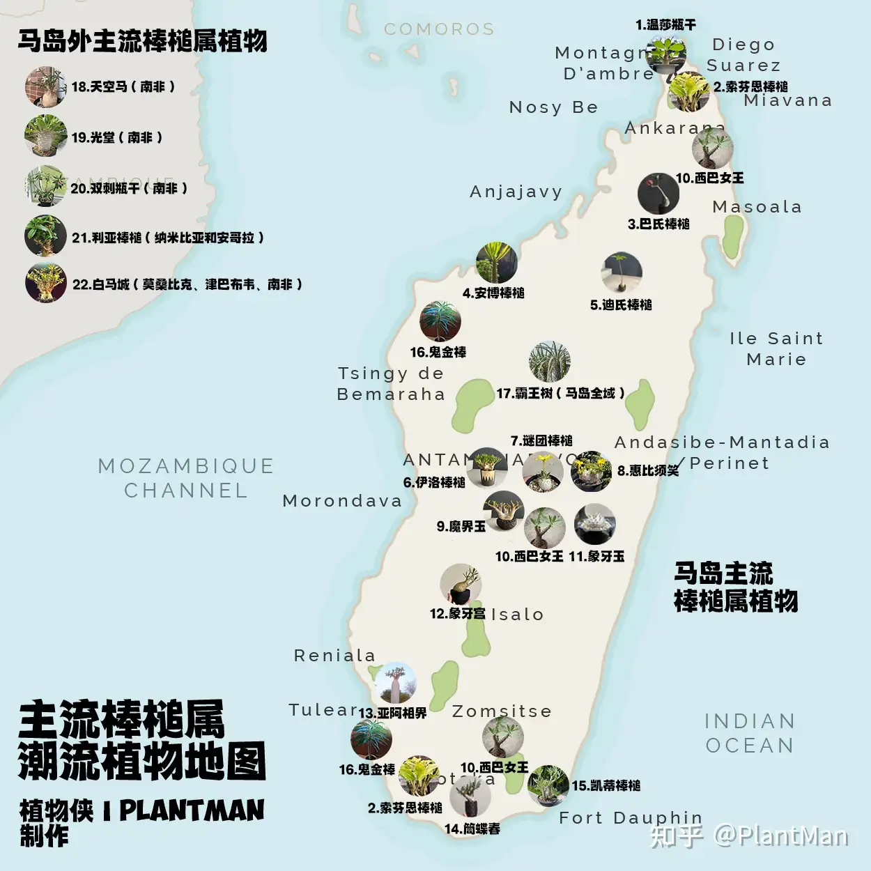 棒槌属植物地图- 知乎