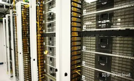 成都服务器怎么租用最便宜—Vecloud