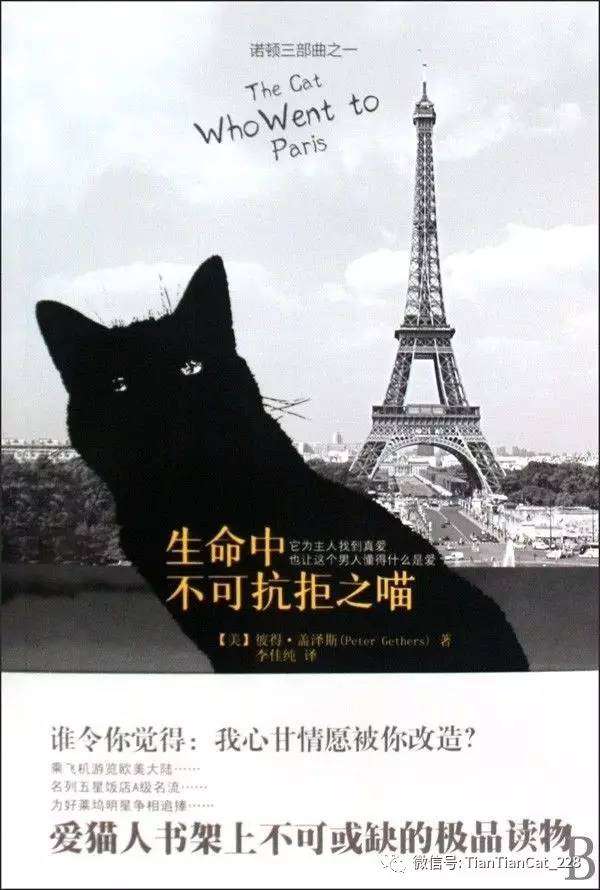 爱猫人必看的21本书 知乎