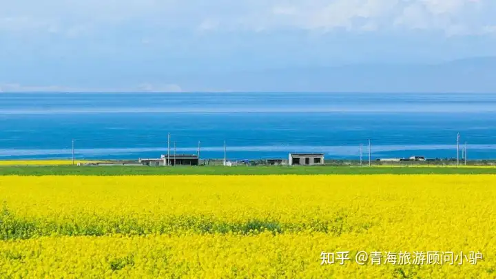 青甘大环线超全懒人旅游线路大合集！快来收藏好！