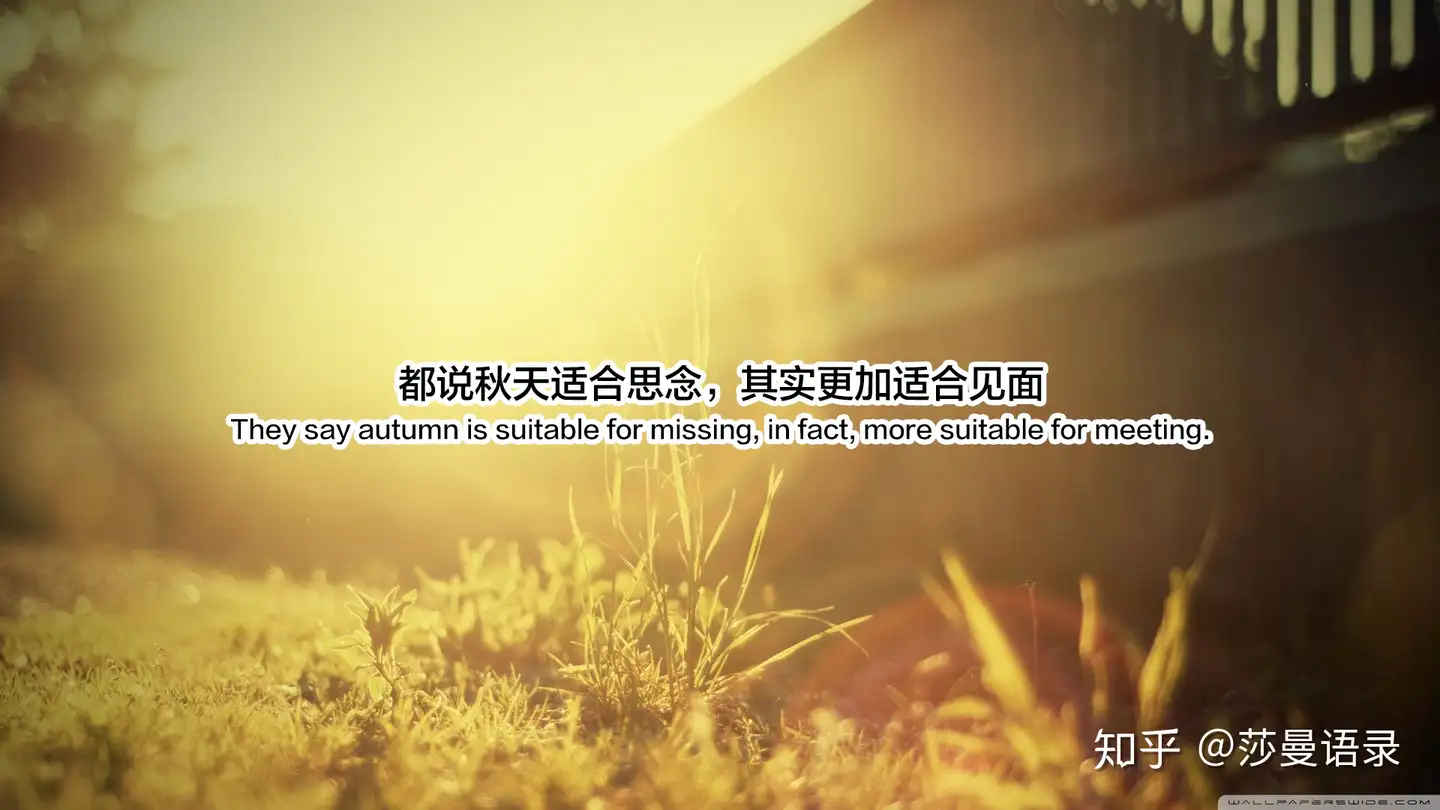 迎接秋天的温柔句子 不知不觉已是秋 忙忙碌碌又一年 知乎