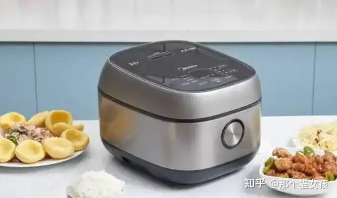 柴火電飯煲哪個品牌子好，柴火電飯煲什么牌子好，柴火飯電飯煲推薦，電飯鍋十大名牌