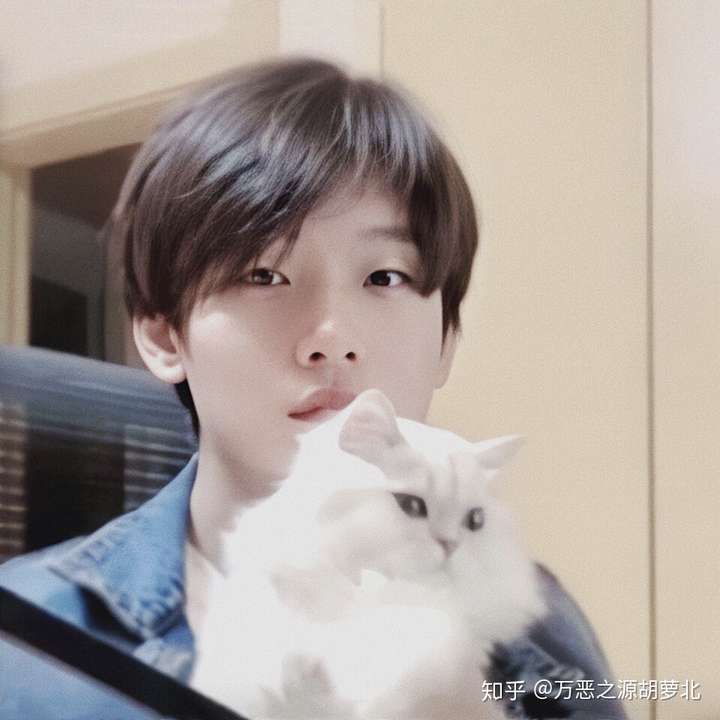 有没有一些你在b站特别喜欢尊敬的up主